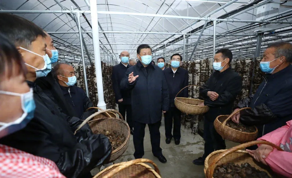 精准发力 消费扶贫|易迅通在行动